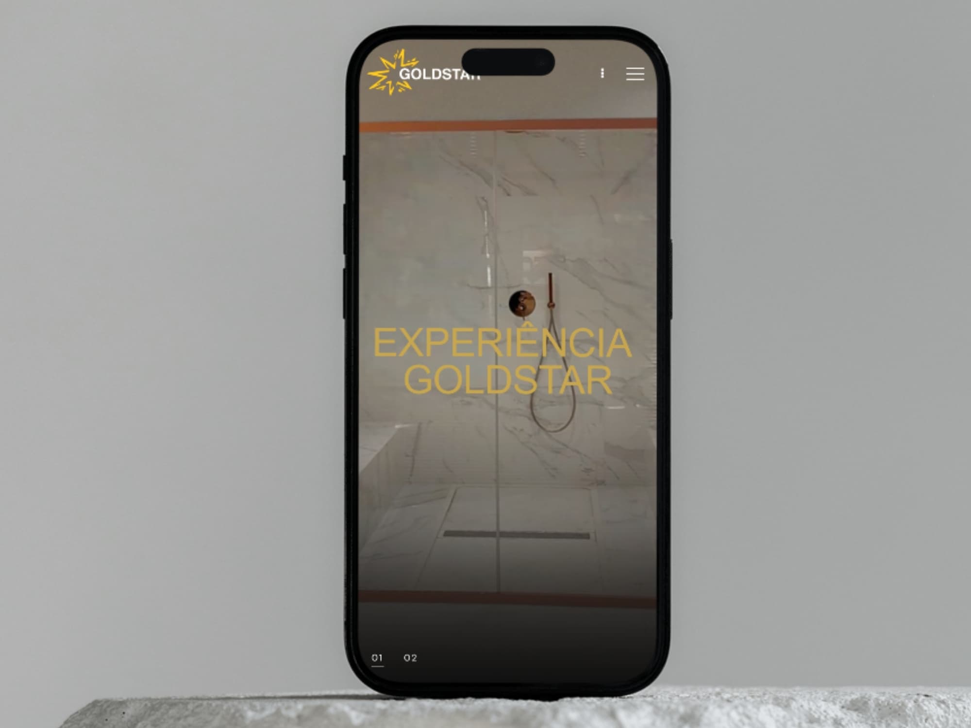 Goldstar MFN, detalhe do sistema de gestão